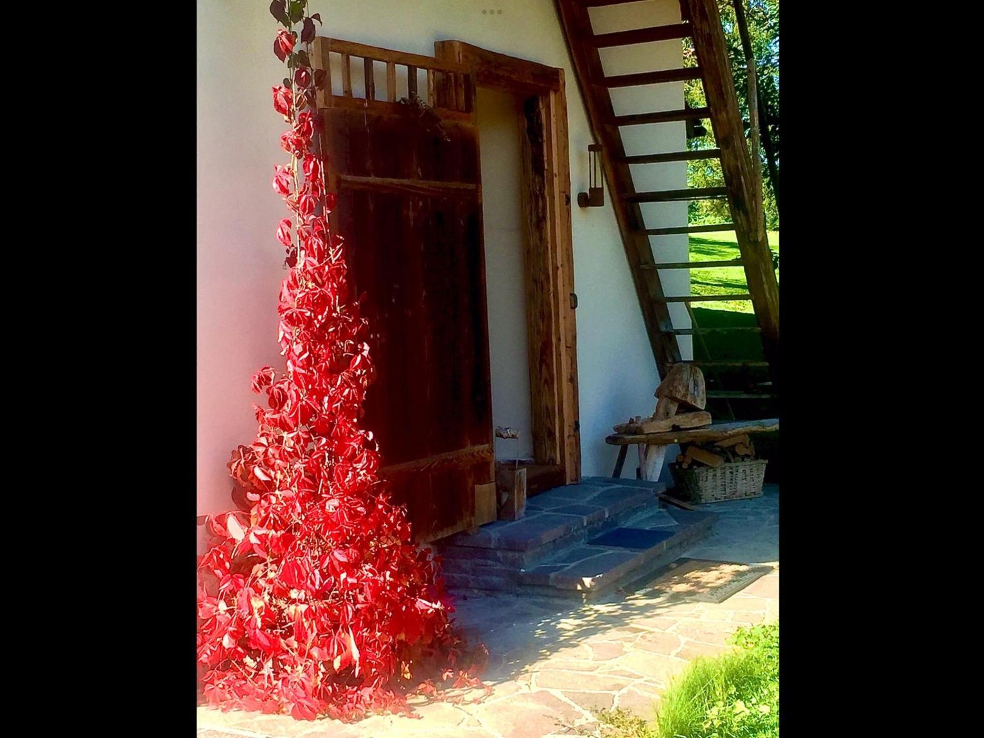 Maisonette Kleiner Monde Weinberg Dış mekan fotoğraf